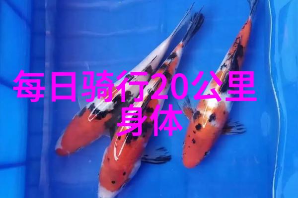 在斯芬克艺术留学机构官网上留学生在澳洲是否安全