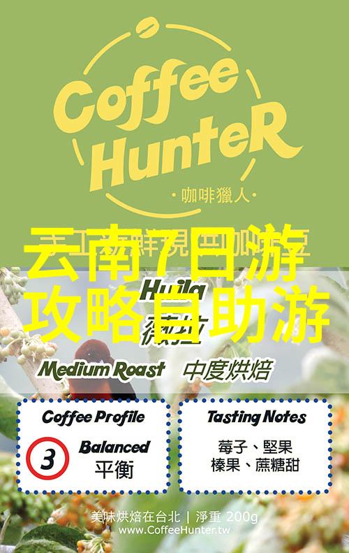 企业同袍团队协作的艺术与乐趣