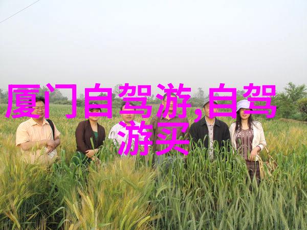 再次踏上征程无惧语言障碍跨国翻译工具助力旅行计划
