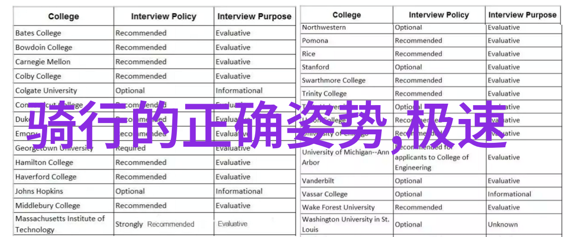 美艳长公主我的梦中情人