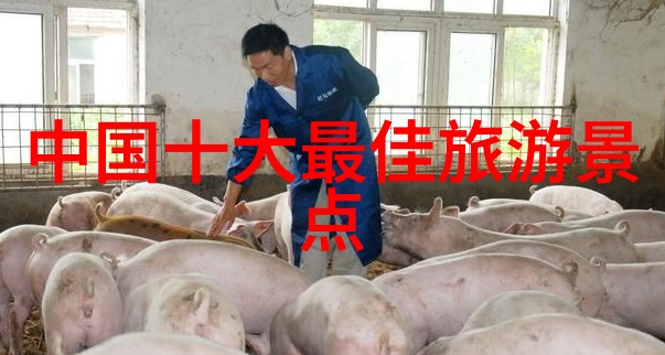 北京骑行奇遇十条路线让你笑傲千里