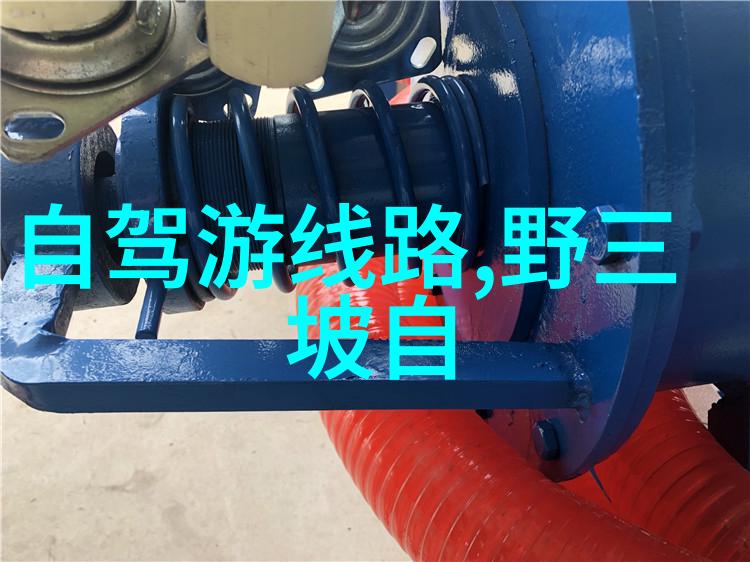 从树梢到河边大班孩童在户外探险中的情感教育实践