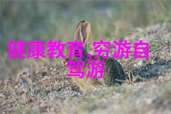 夏日的足迹四年级生的探险之旅