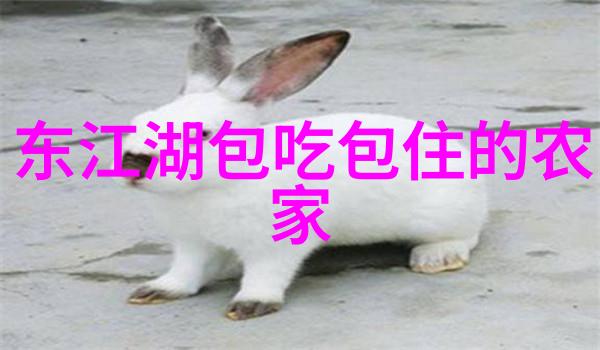 公司团建活动通知 - 共创盛世增强团队协作的年度团建大汇聚