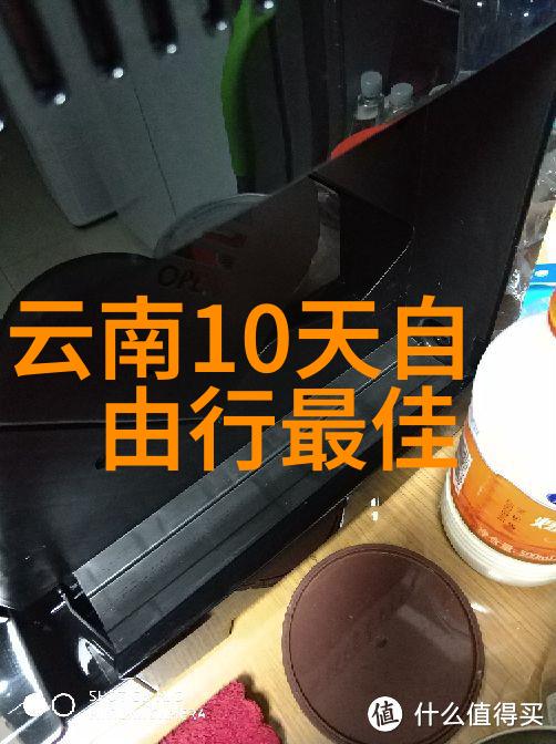 九江美食盛宴地道菜肴竞相上榜
