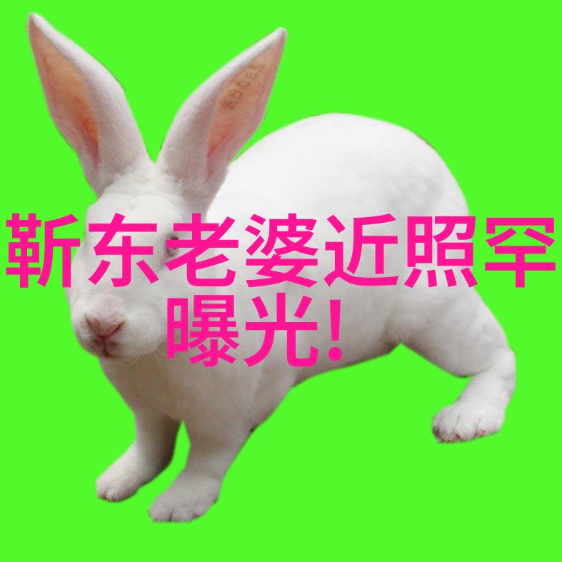 旅游攻略应用程序选择最受欢迎的旅行规划APP