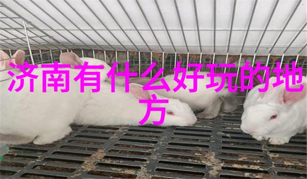 广东省内自驾游探索珠江之光品味粤韵风情