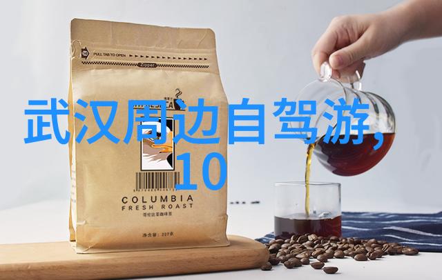 远方的旅程陪伴的力量探索结伴旅游app背后的故事
