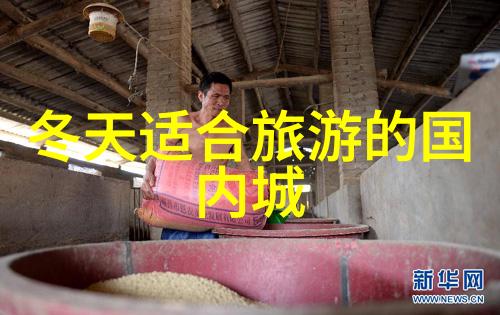 户外探索乐50个中班趣味游戏挑战