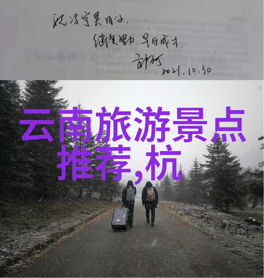 捷安特自行车速度与舒适的完美结合吗