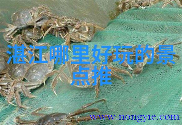 古韵现代揭秘南京二日游的隐秘角落与热门景点