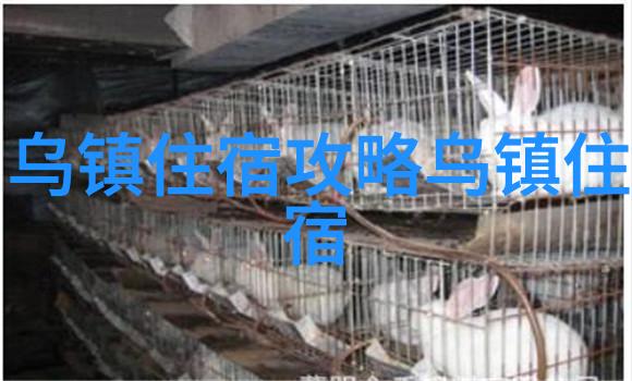 团结一心公司小型团建活动方案的精髓探究