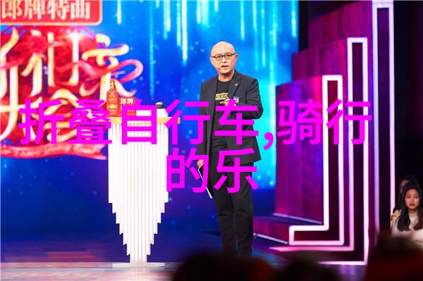 春节游记作文500字西宁塔尔寺探秘之旅