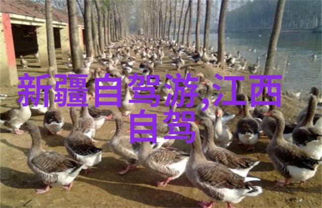 云南迷人风光跟团游价格透明探秘云南旅游报价详解