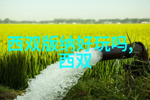 S8Sp海外视频我的跨国追剧日记