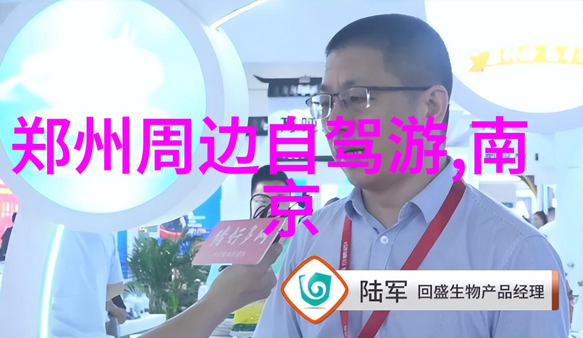 南京旅游景点探秘古城的悠然风光从紫金塔到明故宫跟我一起走一走