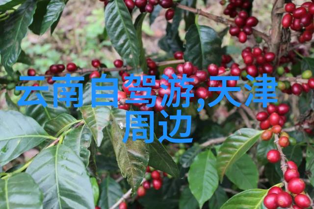 丽江旅游攻略必去景点揭秘古城深处的美丽角落