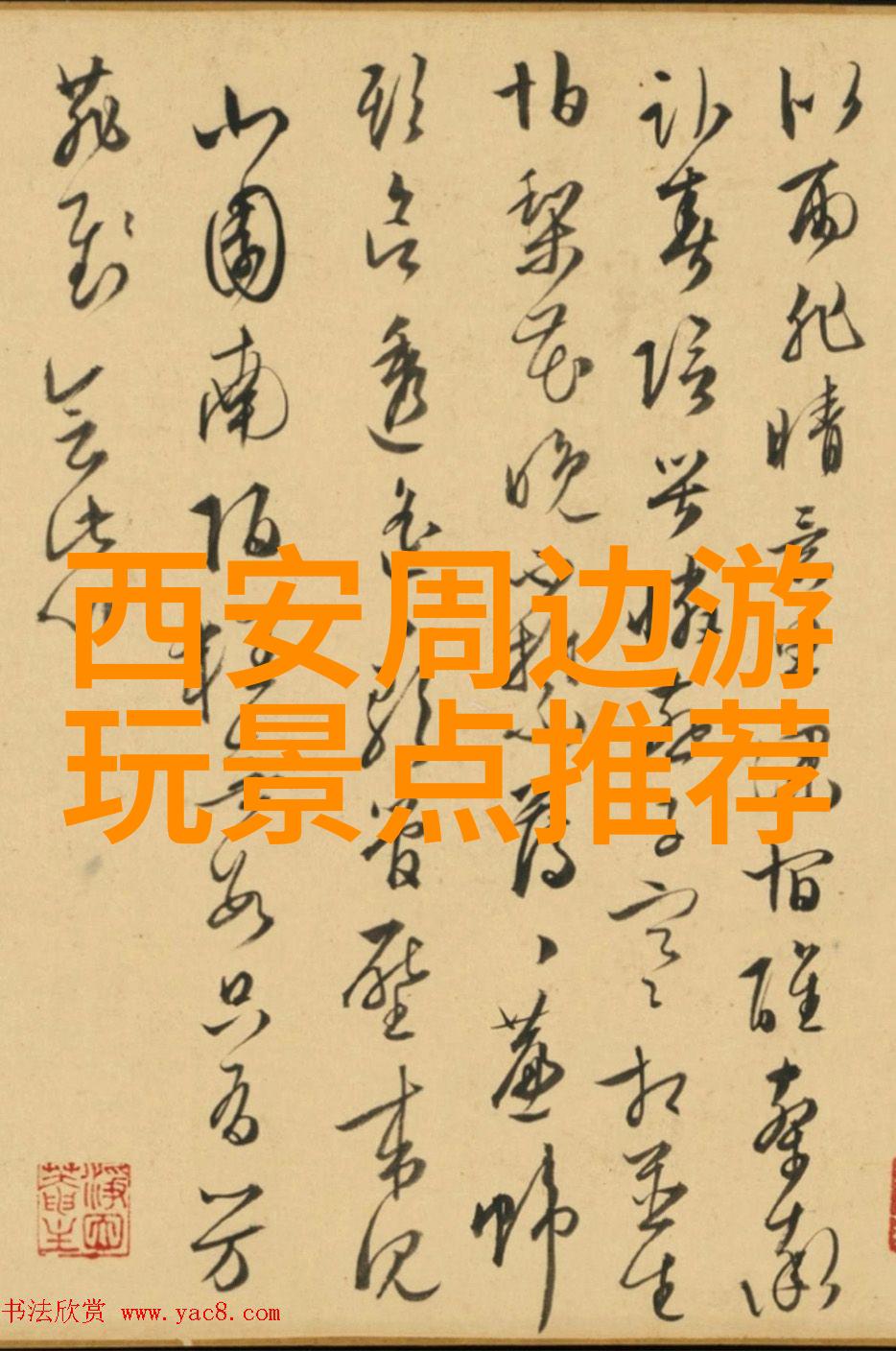 骑行与减肥的谜团揭开每天30公里不瘦背后的秘密