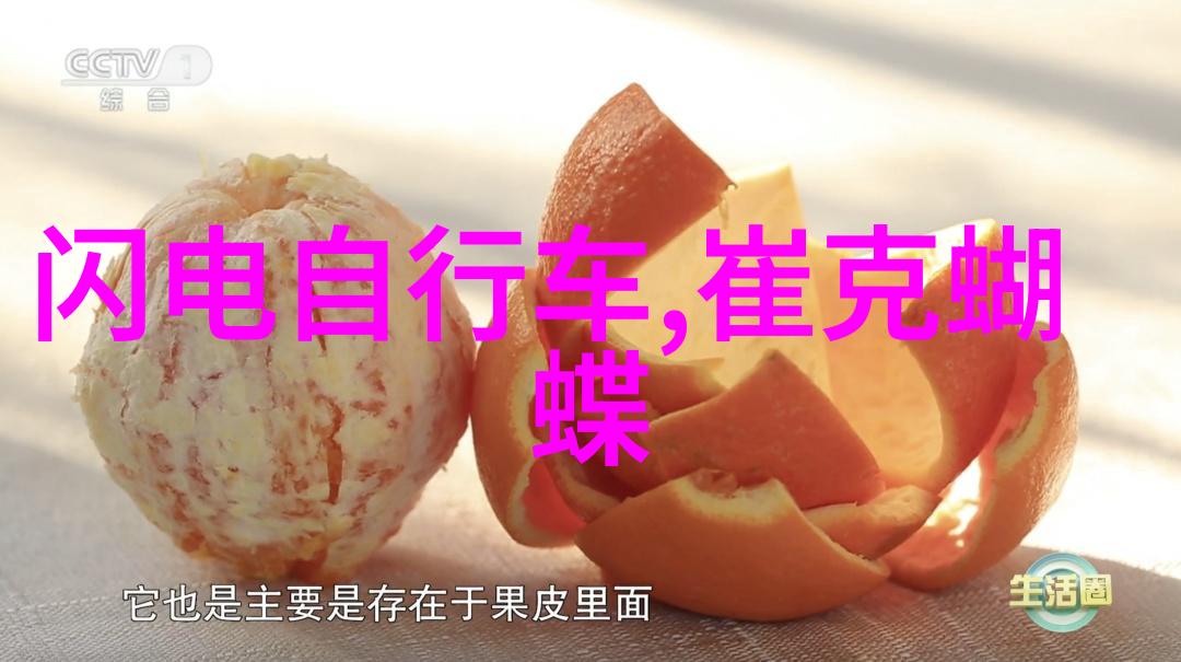 上海美食盛宴小笼包东坡肉黄焖鸡米饭生煎面