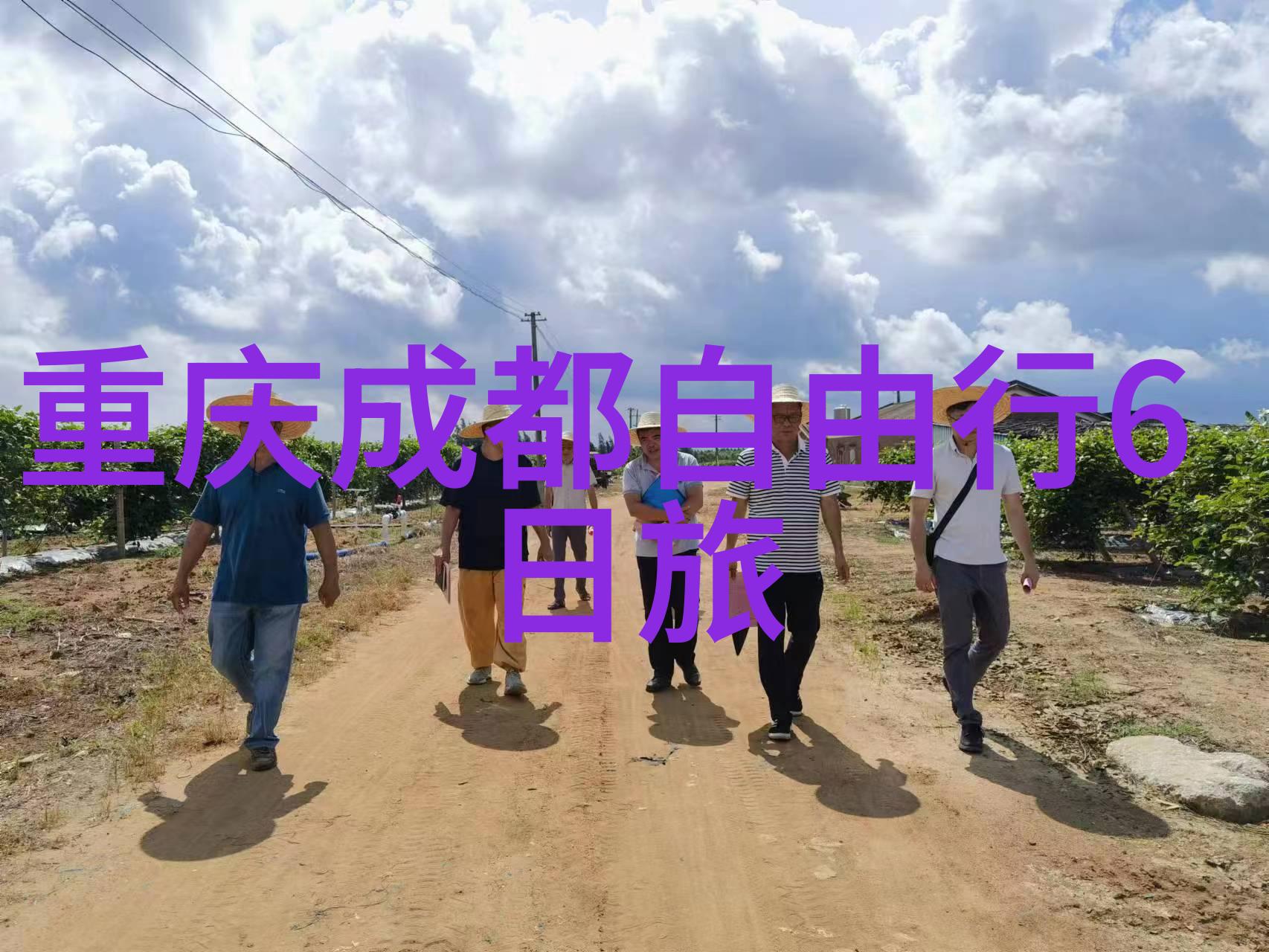 在赣州可以体验什么样的民俗活动