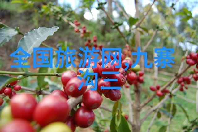 上海住宿指南如何在这座城市找到那片属于你的天际