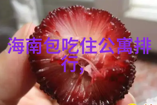 动感都市游玩指南世界上最有活力的城市之一体验