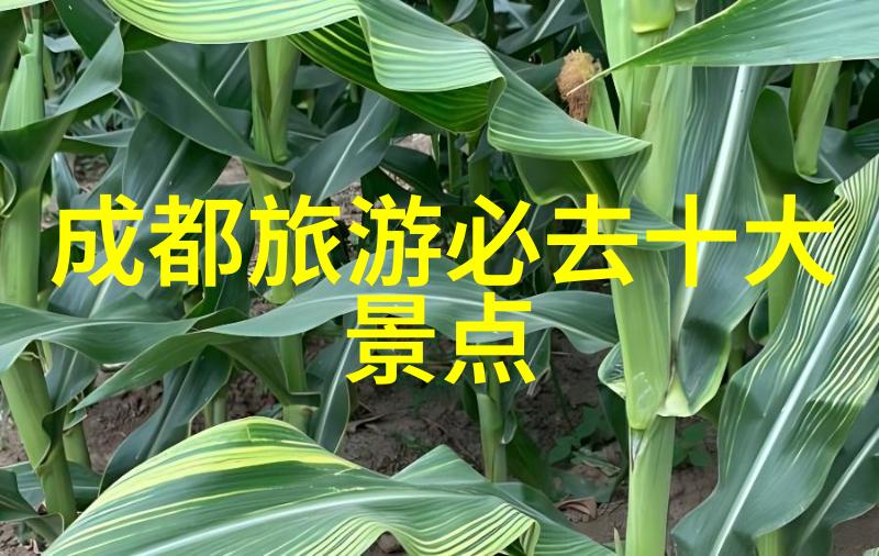 云南旅游地图我在云南的旅行奇遇一张指南我的心