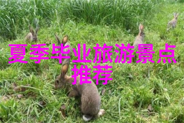 你的福建之旅必去地图从武夷山到宁德不可错过的地方