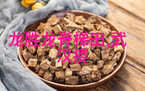 骑行网-探索骑行网连接爱好者的桥梁与故事