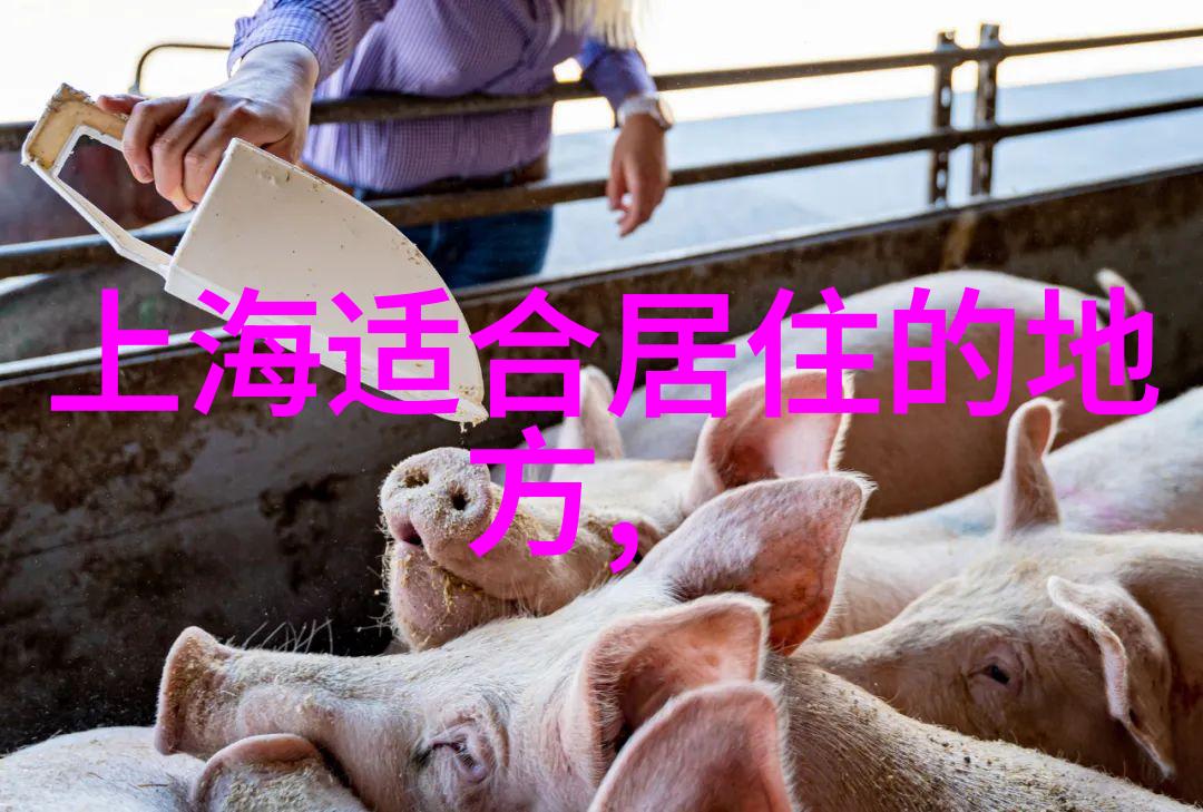 京西自驾游路线推荐