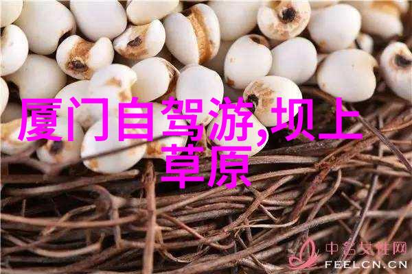 云南旅游攻略亲测绝妙游记探秘大理丽江的迷人风光