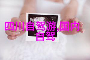 在武汉旅游攻略中你知道去韩国的签证是怎么办吗_揭秘韩国签证申请流程的神秘之处