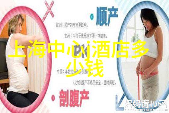 凤悦酒店及度假村携子品牌耀目上海国际酒店展引领烟台旅游攻略三天游新篇章