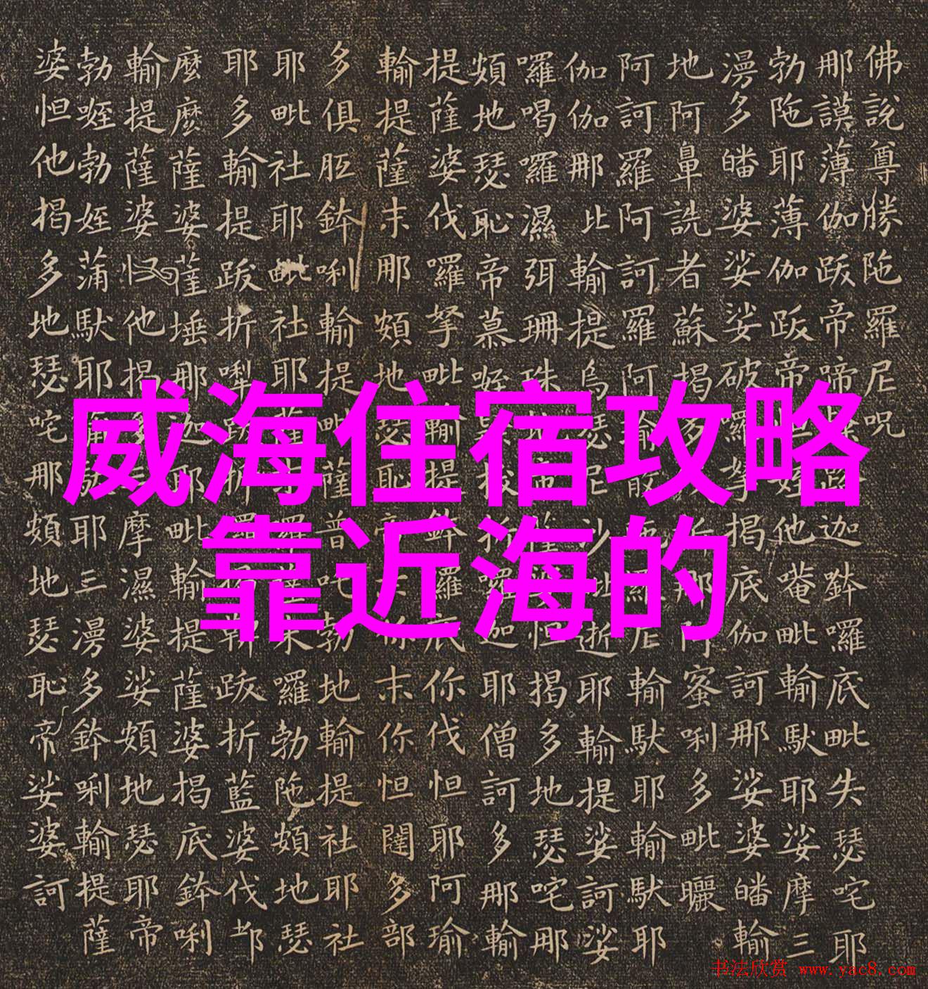 校园游记我在大学的那些风雨岁月