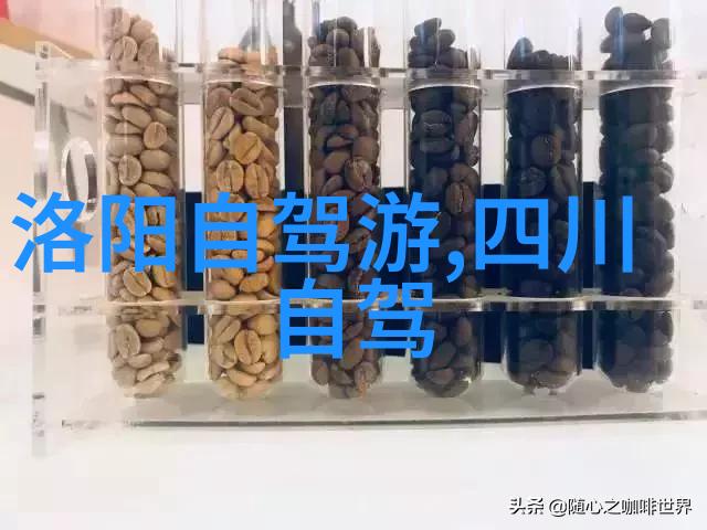 他是毒玫瑰by狄醉山-绯影中的暗恋探索狄醉山小说世界中毒玫瑰的象征意义