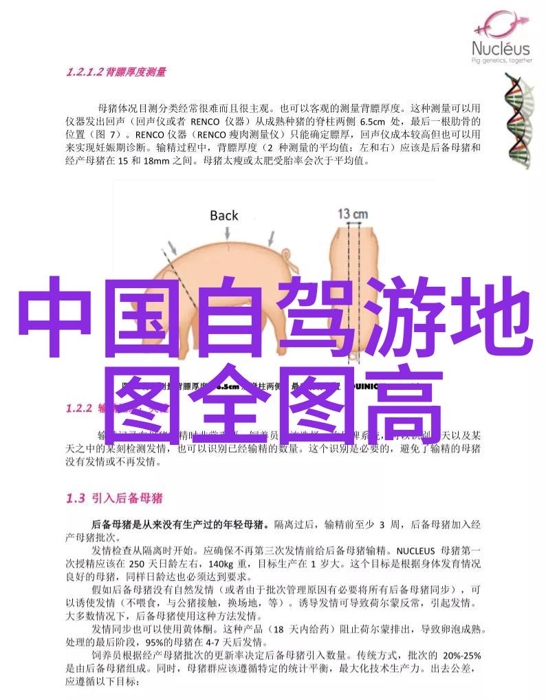 北京特色美食小吃在哪-品味北京追寻故宫至今的传统美食