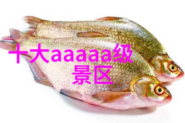 童年梦想 亲子共游共筑美好的记忆百件精彩活动
