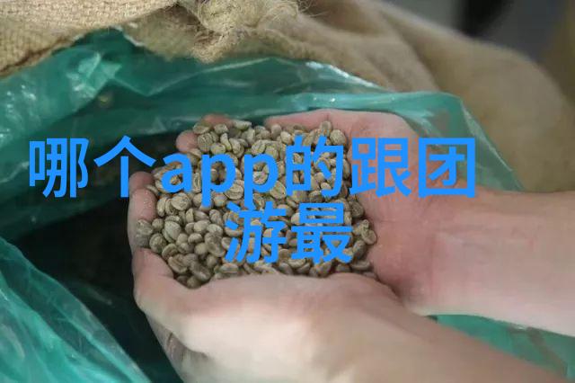 极速骑行4版本选择极速骑行四的最佳版本选择