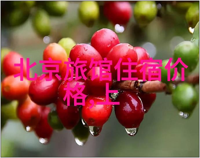 离我最近的旅行社能提供哪些海外游目的地选择