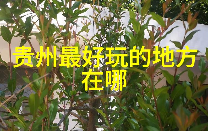 出境游与出国游两者之间的差异探究