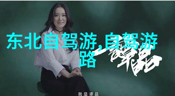 猪八戒的美食奇遇从云游四海到厨房探险
