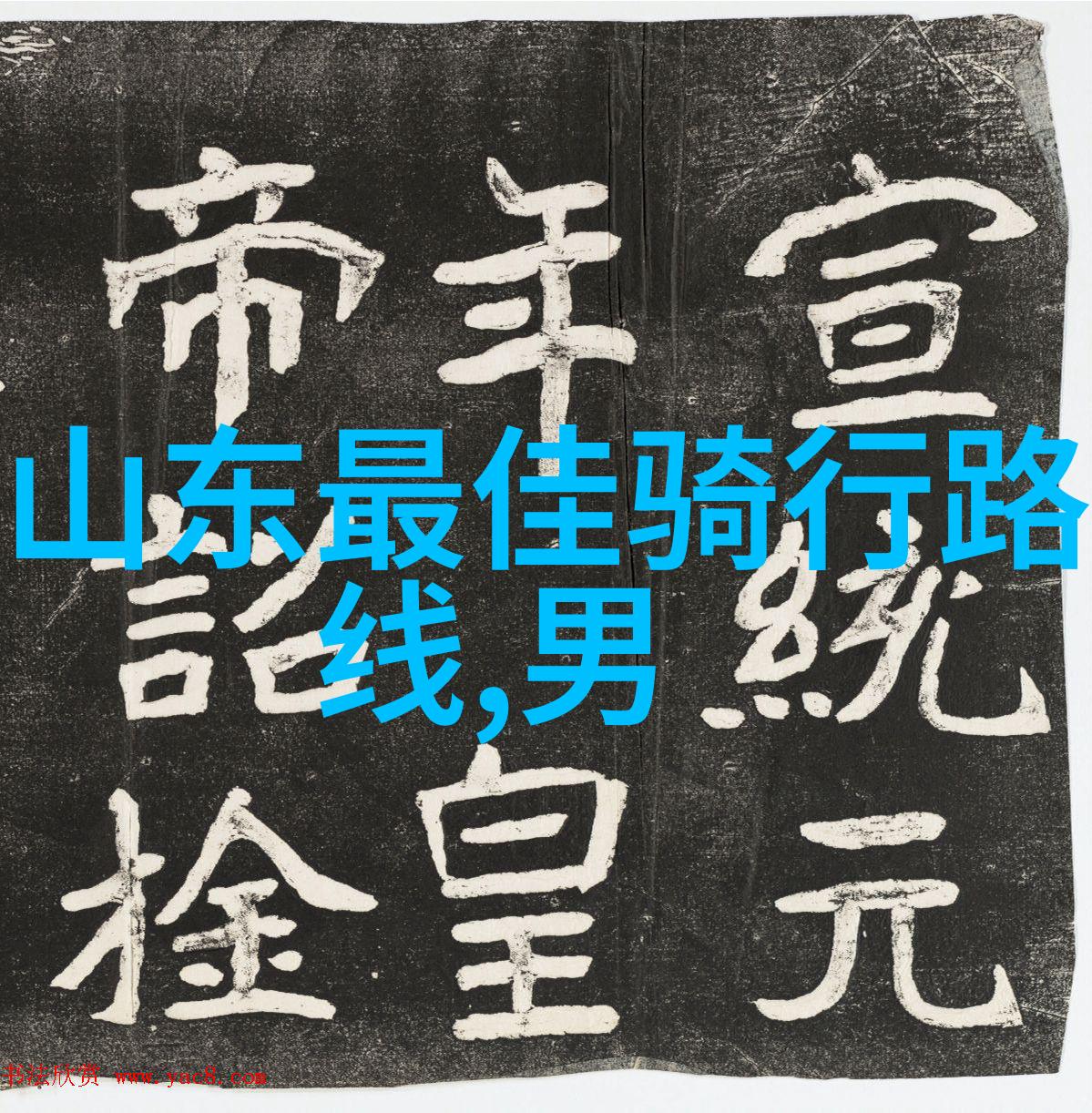 公路骑行的好处与坏处 - 踏风驰道探索自行车旅行的双面刃