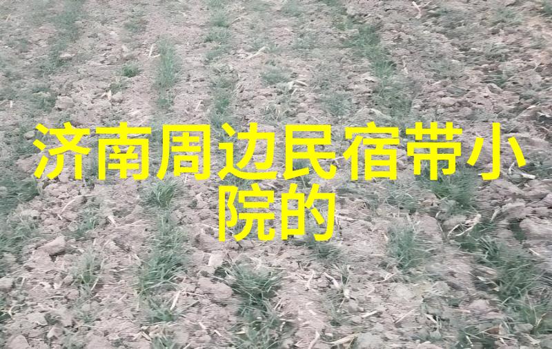 高速追逐燃烧的轮胎与激情的呼啸