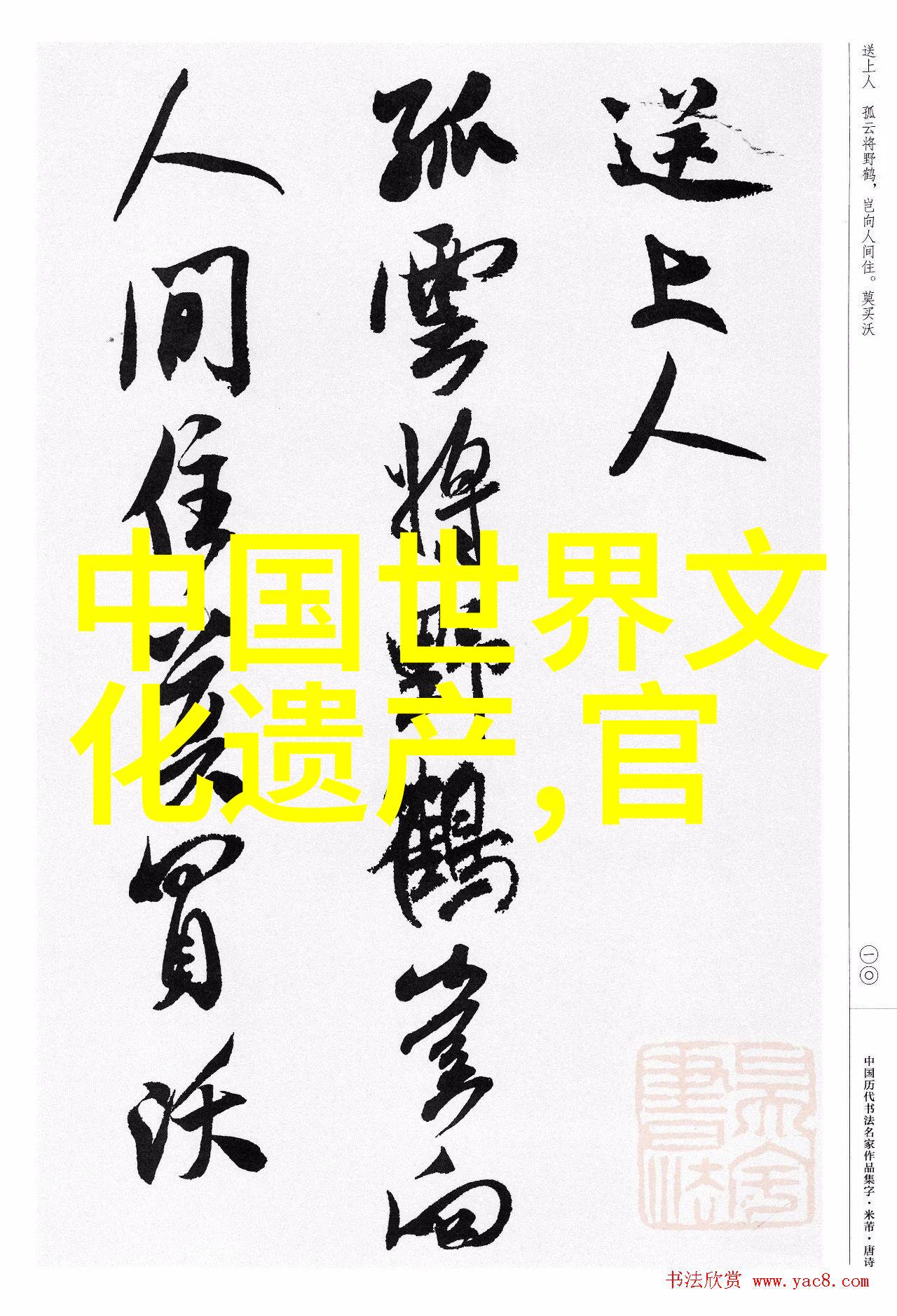 旅游局招聘必读资格条件能力要求与面试技巧全解析