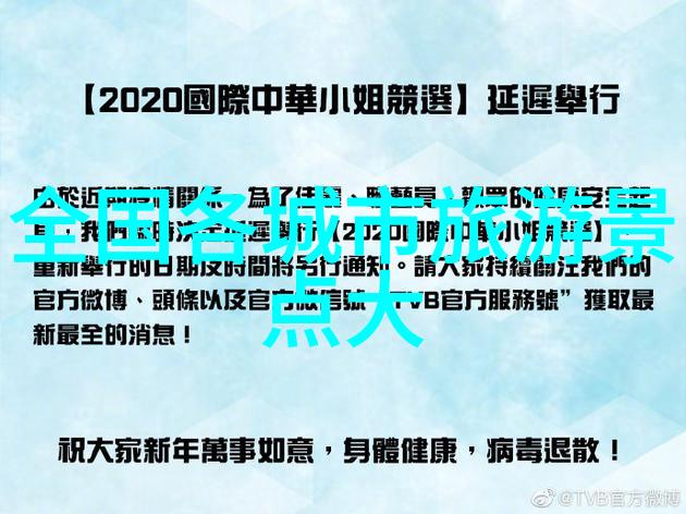 文化交流平台国际友人在广州塔上的活动记录