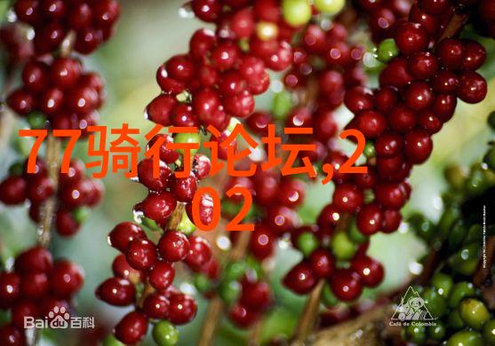 春日游之上海五一住宿指南