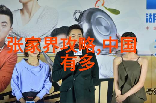 ACCA少女SDANVI探索平衡与自由的故事
