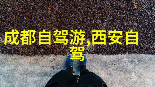 迪拜的梦想城如何在沙漠中建造一座超现代化的大都会