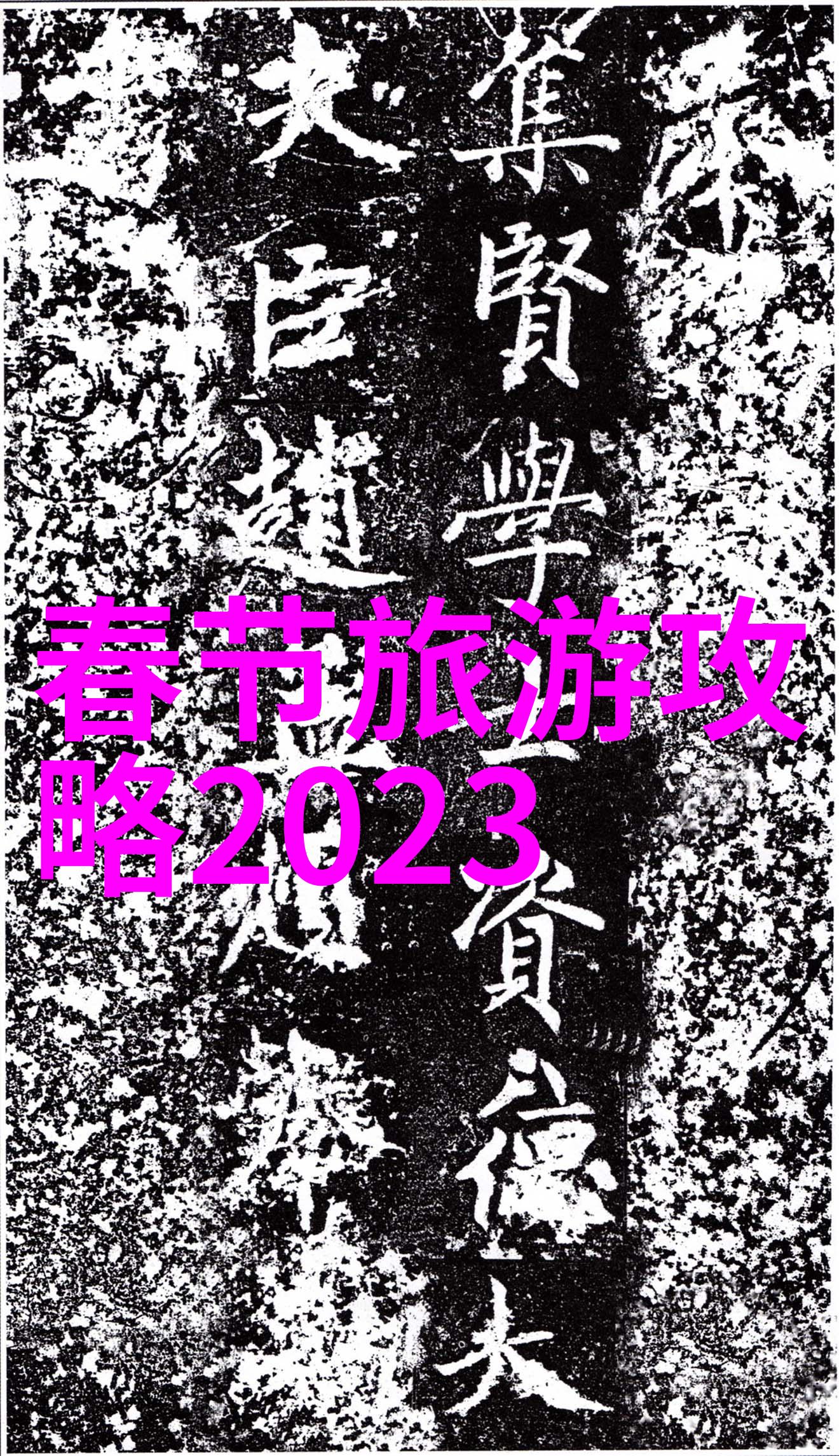 巴哈马海滩度假村蓝色海洋和白色沙滩的理想天堂