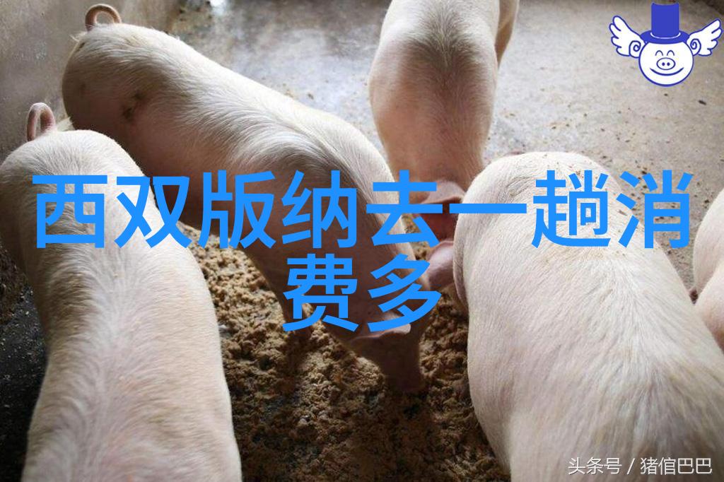 荒漠中的水晶宫探索非洲最奇幻的沙漠景点